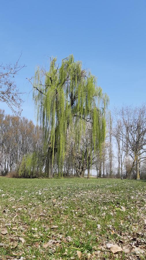 Rovereto sulla Secchia La Locanda Nel Frutteto المظهر الخارجي الصورة